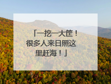 一挖一大筐！很多人来日照这里赶海！