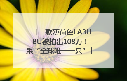 一款薄荷色LABUBU被拍出108万！系“全球唯一一只”