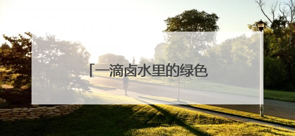一滴卤水里的绿色转型（美丽中国）