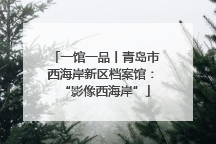 一馆一品丨青岛市西海岸新区档案馆：“影像西海岸”