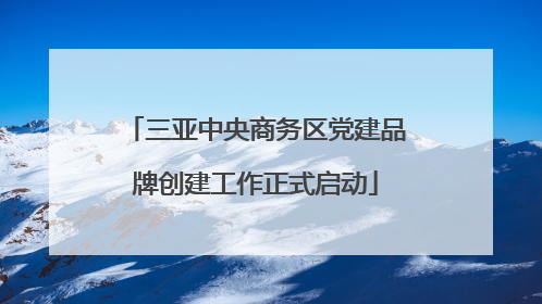 三亚中央商务区党建品牌创建工作正式启动