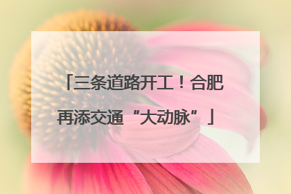 三条道路开工！合肥再添交通“大动脉”