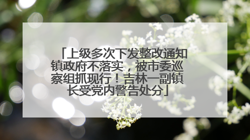 上级多次下发整改通知镇政府不落实，被市委巡察组抓现行！吉林一副镇长受党内警告处分