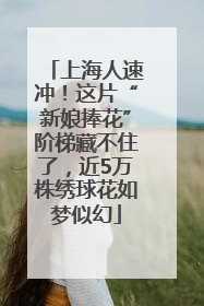 上海人速冲！这片“新娘捧花”阶梯藏不住了，近5万株绣球花如梦似幻