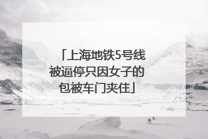 上海地铁5号线被逼停只因女子的包被车门夹住