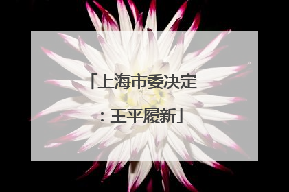 上海市委决定：王平履新