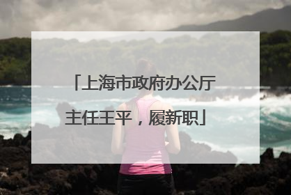 上海市政府办公厅主任王平，履新职