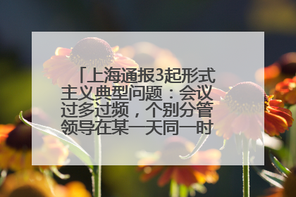 上海通报3起形式主义典型问题：会议过多过频，个别分管领导在某一天同一时段需参加3个会议