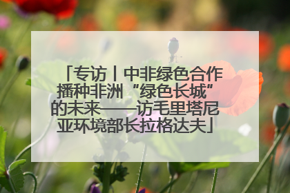 专访丨中非绿色合作播种非洲“绿色长城”的未来——访毛里塔尼亚环境部长拉格达夫