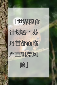 世界粮食计划署：苏丹首都面临严重饥荒风险