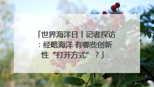 世界海洋日丨记者探访：经略海洋 有哪些创新性“打开方式”？