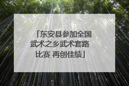 东安县参加全国武术之乡武术套路比赛 再创佳绩