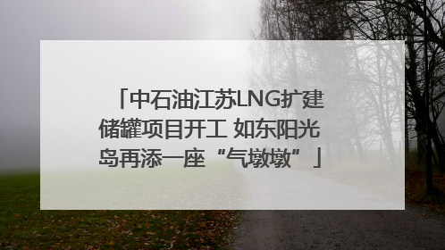 中石油江苏LNG扩建储罐项目开工 如东阳光岛再添一座“气墩墩”