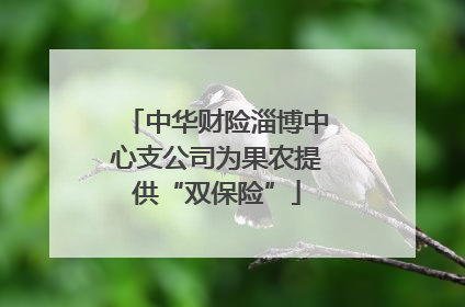 中华财险淄博中心支公司为果农提供“双保险”
