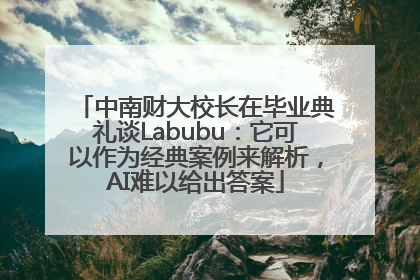 中南财大校长在毕业典礼谈Labubu：它可以作为经典案例来解析，AI难以给出答案