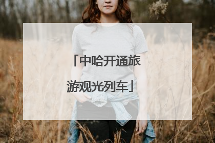 中哈开通旅游观光列车