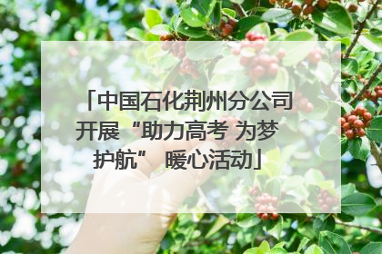 中国石化荆州分公司开展“助力高考 为梦护航” 暖心活动