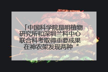 中国科学院昆明植物研究所和深圳兰科中心联合科考取得重要成果 在神农架发现两种“国保”级兰花