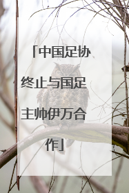 中国足协终止与国足主帅伊万合作