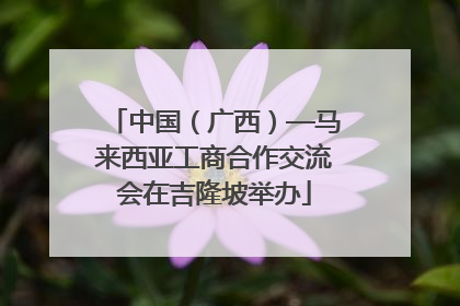 中国（广西）—马来西亚工商合作交流会在吉隆坡举办