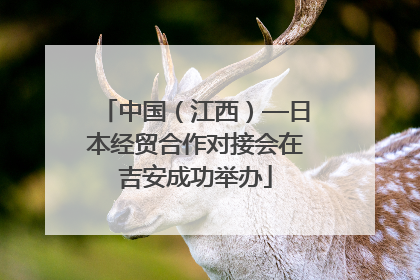 中国（江西）—日本经贸合作对接会在吉安成功举办