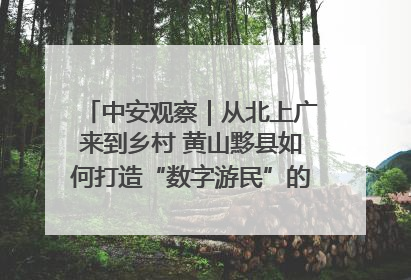 中安观察｜从北上广来到乡村 黄山黟县如何打造“数字游民”的“桃花源”？