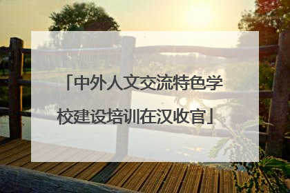 中外人文交流特色学校建设培训在汉收官