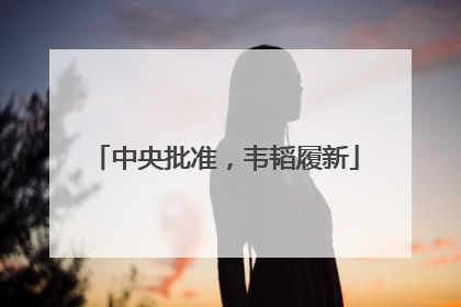中央批准，韦韬履新
