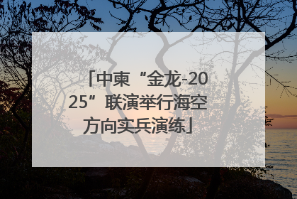 中柬“金龙-2025”联演举行海空方向实兵演练