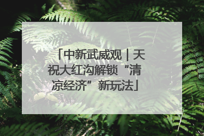 中新武威观｜天祝大红沟解锁“清凉经济”新玩法