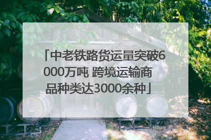 中老铁路货运量突破6000万吨 跨境运输商品种类达3000余种
