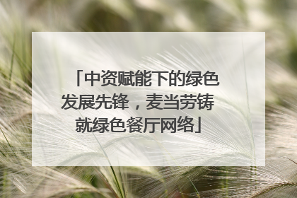中资赋能下的绿色发展先锋，麦当劳铸就绿色餐厅网络