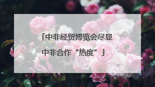 中非经贸博览会尽显中非合作“热度”