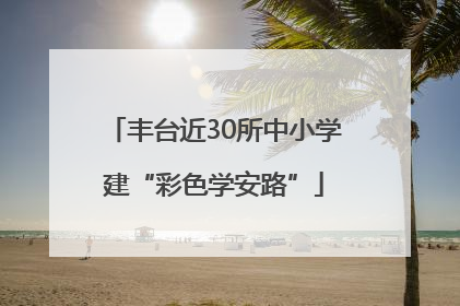 丰台近30所中小学建“彩色学安路”