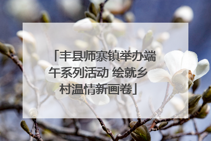 丰县师寨镇举办端午系列活动 绘就乡村温情新画卷