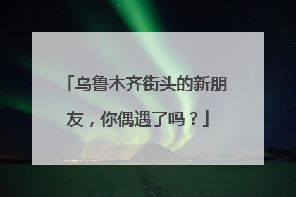 乌鲁木齐街头的新朋友，你偶遇了吗？