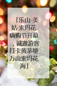 乐山-美姑·索玛花嗨购节开幕，诚邀游客打卡黄茅埂万亩索玛花海