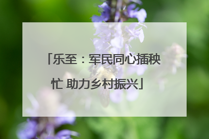 乐至：军民同心插秧忙 助力乡村振兴