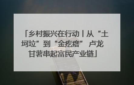 乡村振兴在行动丨从“土坷垃”到“金疙瘩” 卢龙甘薯串起富民产业链