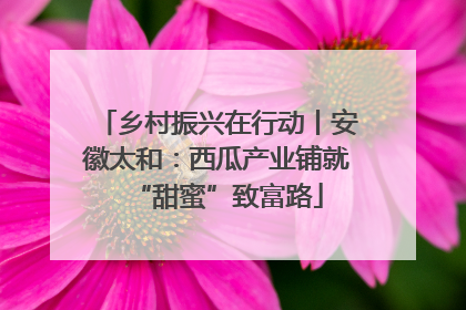 乡村振兴在行动丨安徽太和：西瓜产业铺就“甜蜜”致富路