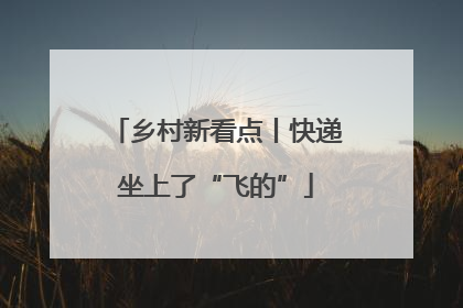 乡村新看点丨快递坐上了“飞的”