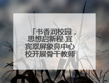 书香润校园，思想启新程 宜宾翠屏象鼻中心校开展骨干教师读书分享活动