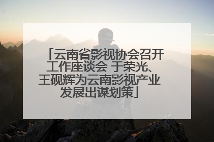 云南省影视协会召开工作座谈会 于荣光、王砚辉为云南影视产业发展出谋划策