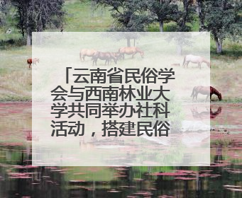 云南省民俗学会与西南林业大学共同举办社科活动，搭建民俗文化交流展示平台