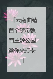 云南曲靖首个禁毒教育主题公园邀你来打卡