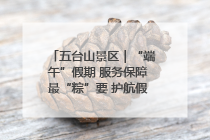 五台山景区｜“端午”假期 服务保障最“粽”要 护航假期“不打烊”