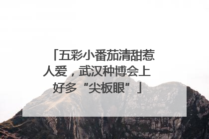 五彩小番茄清甜惹人爱，武汉种博会上好多“尖板眼”