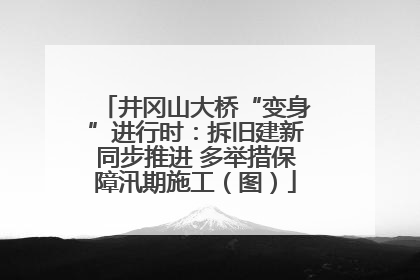 井冈山大桥“变身”进行时：拆旧建新同步推进 多举措保障汛期施工（图）