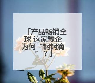 产品畅销全球 这家豫企为何“钢钢滴”？