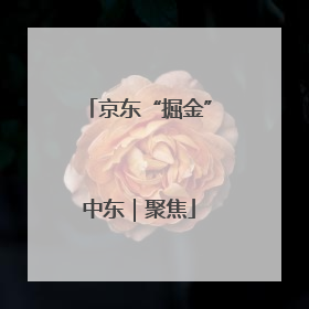 京东“掘金”中东｜聚焦